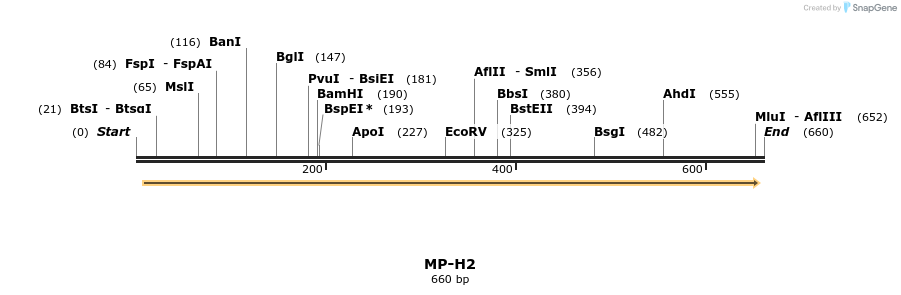 125275_map