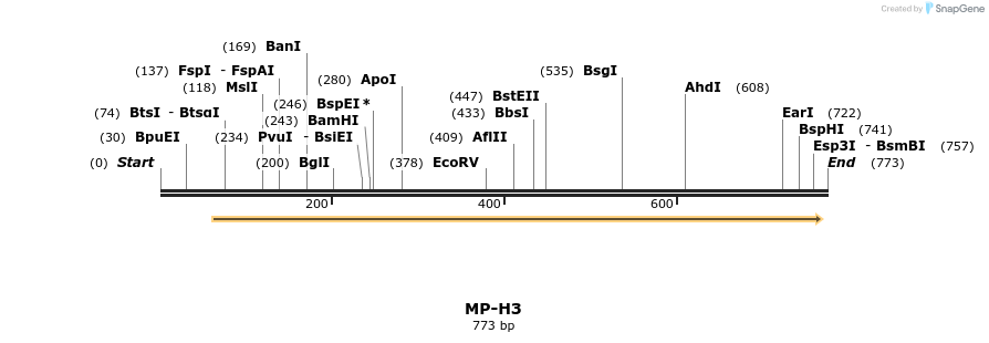 125276_map
