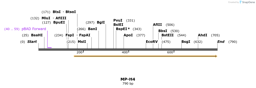 125277_map