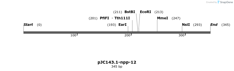 12528_map