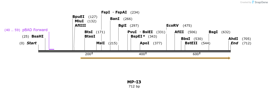 125281_map