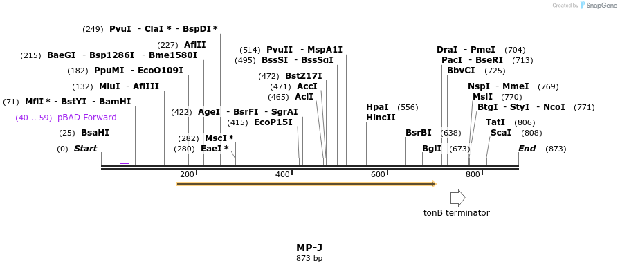 125283_map