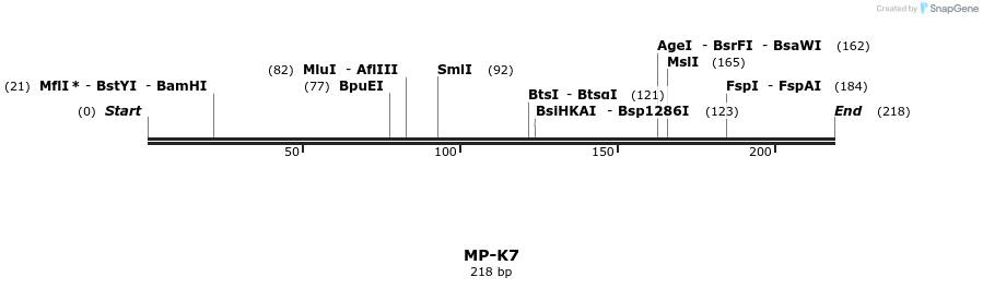 125284_map