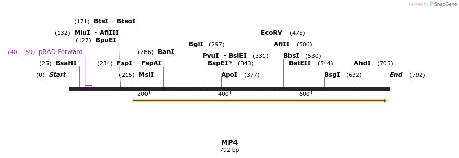 125285_map