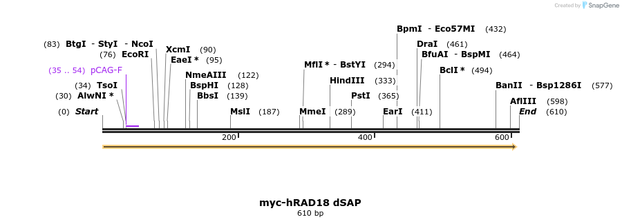 125286_map