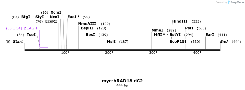 125287_map