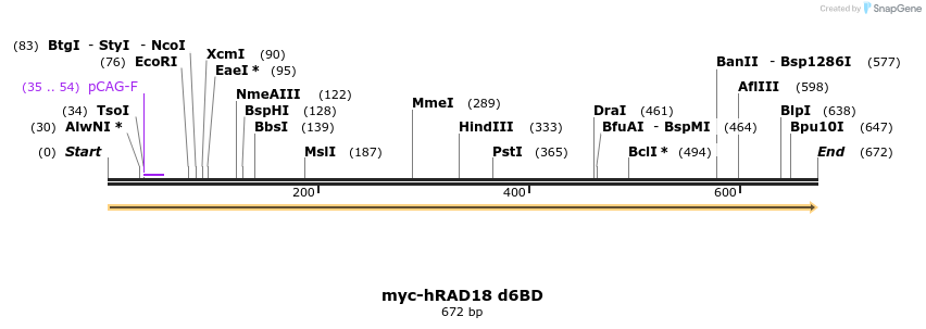 125288_map