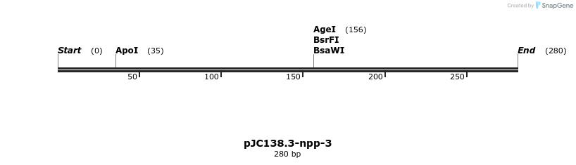 12529_map
