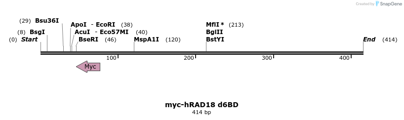 125291_map