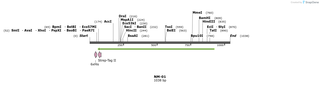 125292_map