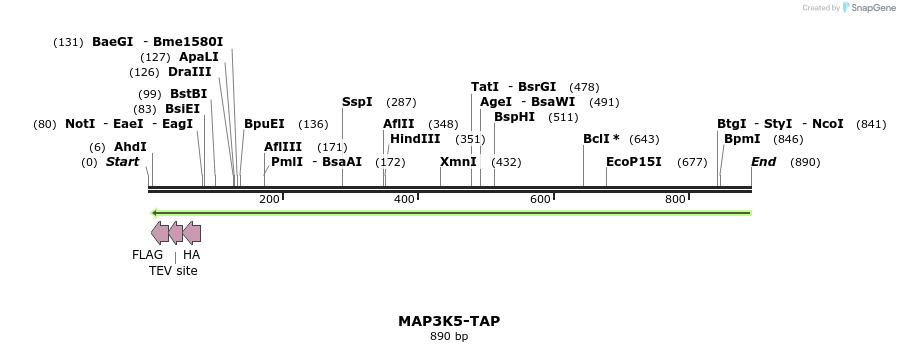 125295_map