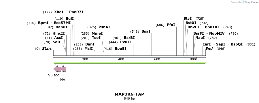 125297_map