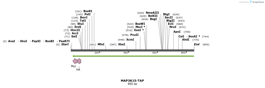 125298_map