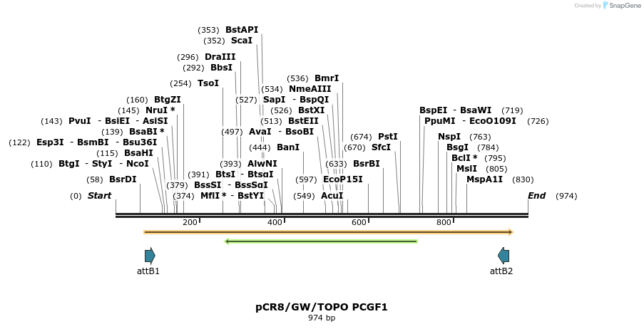 125299_map