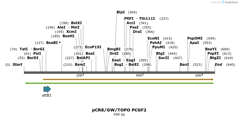 125301_map