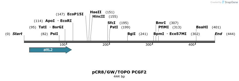 125304_map