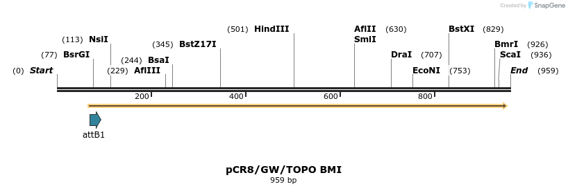 125306_map