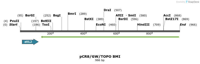125309_map
