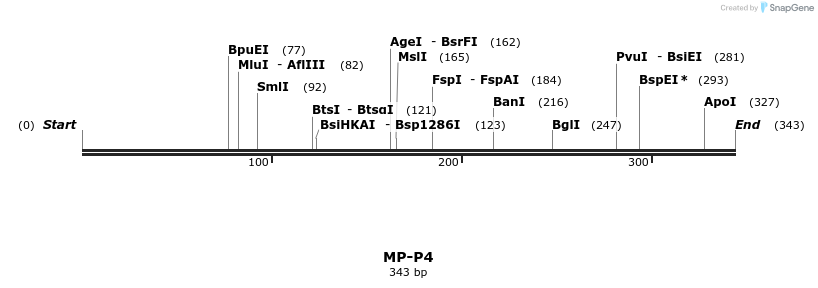 125317_map
