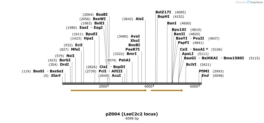 125319_map