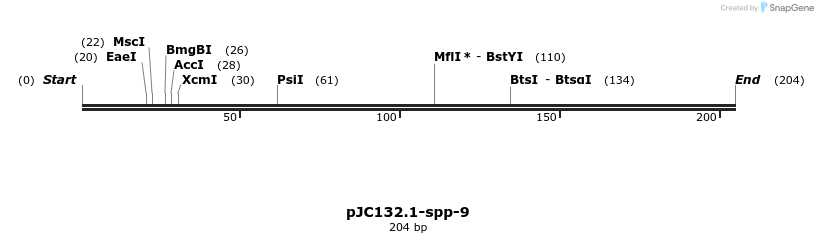 12532_map