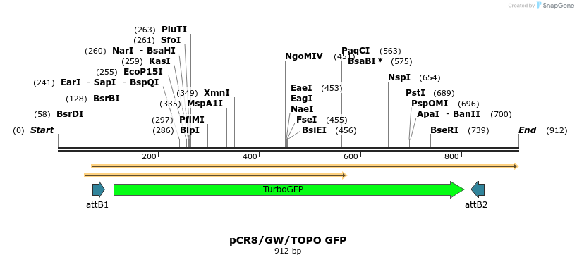 125321_map