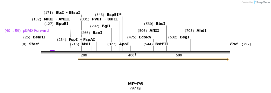 125322_map
