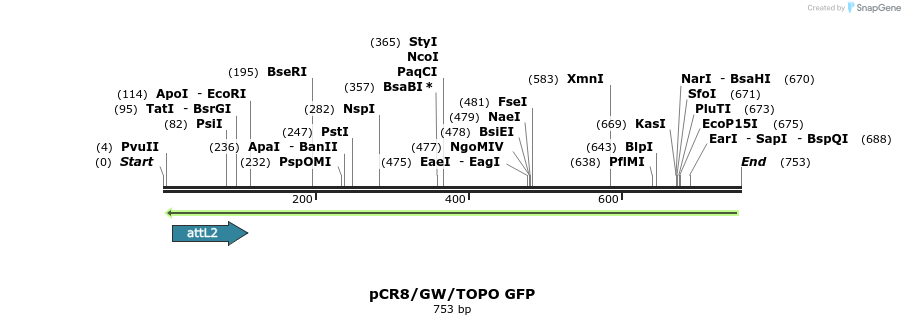 125323_map