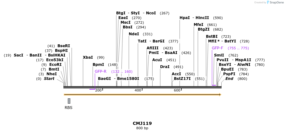 125325_map