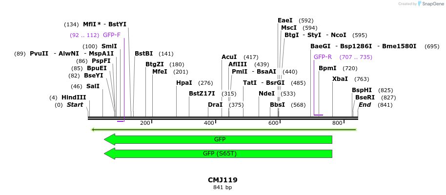 125326_map