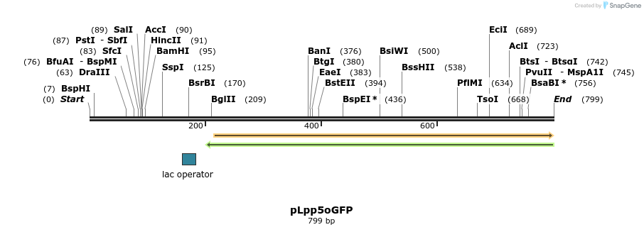 125334_map