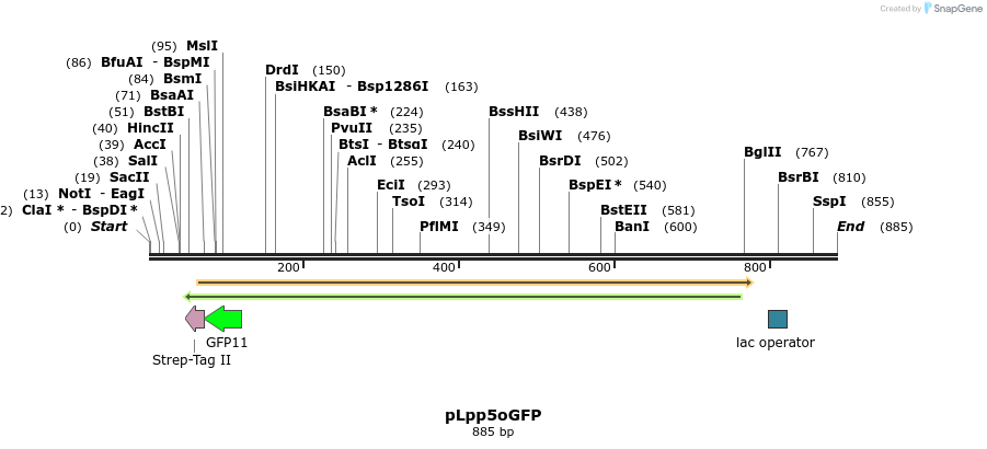 125335_map