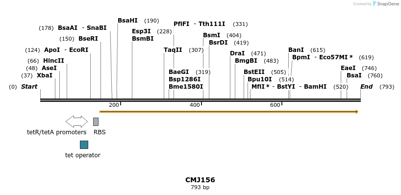 125342_map
