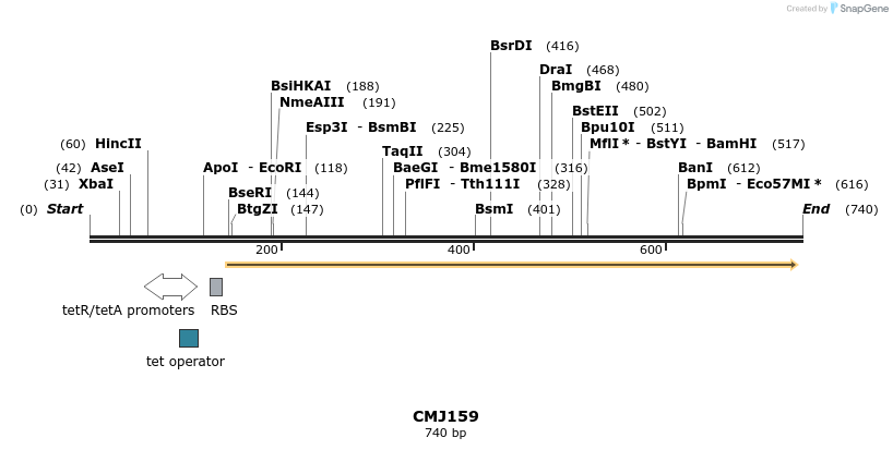 125345_map