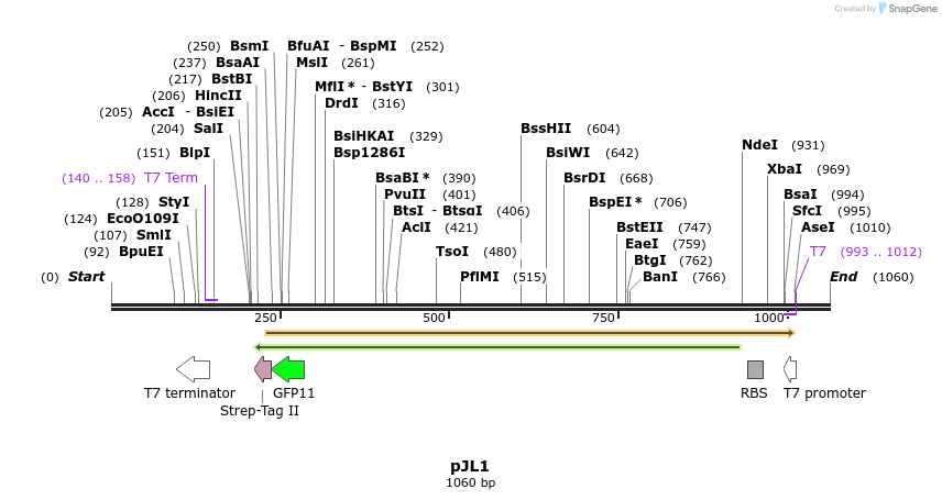 125348_map