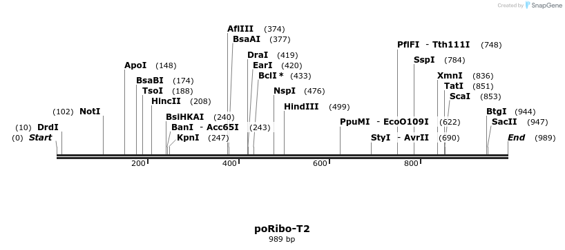 125350_map