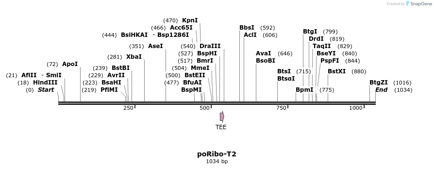 125351_map