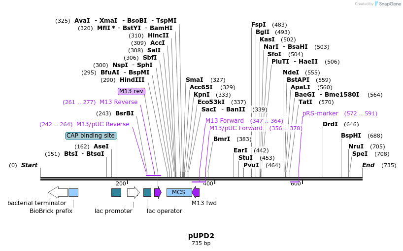 125354_map
