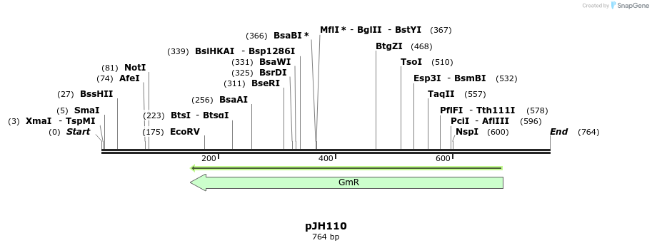 125357_map