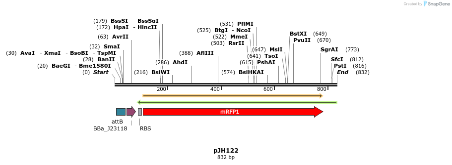 125358_map
