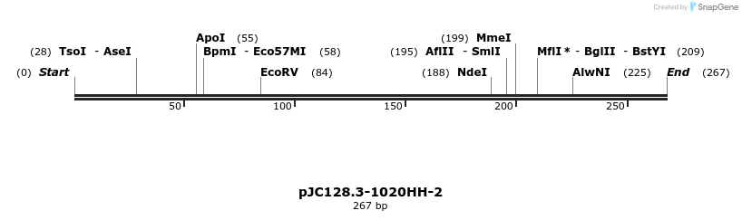 12536_map