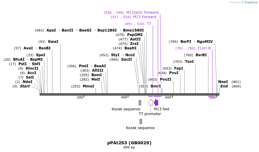 125360_map