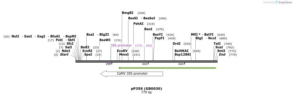 125364_map