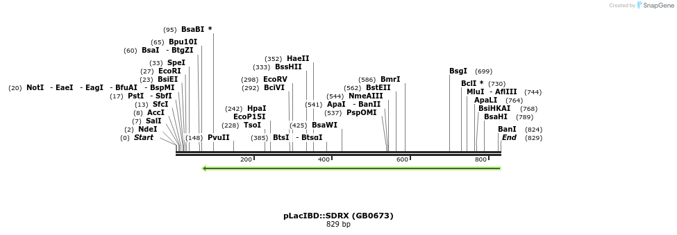 125366_map