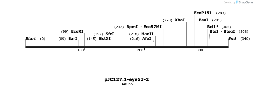 12537_map