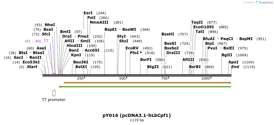 125371_map