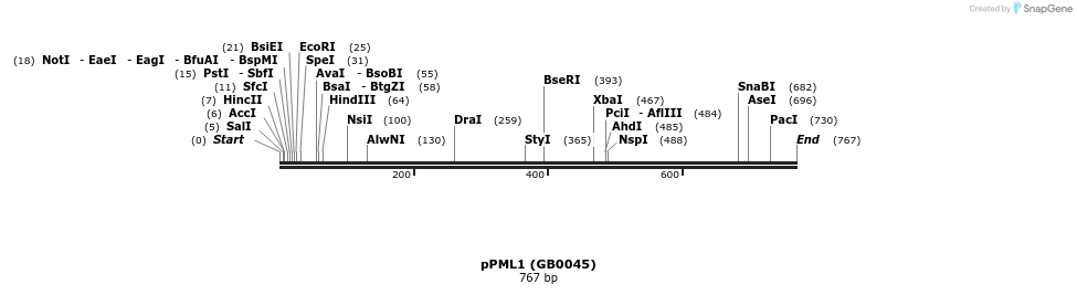125373_map