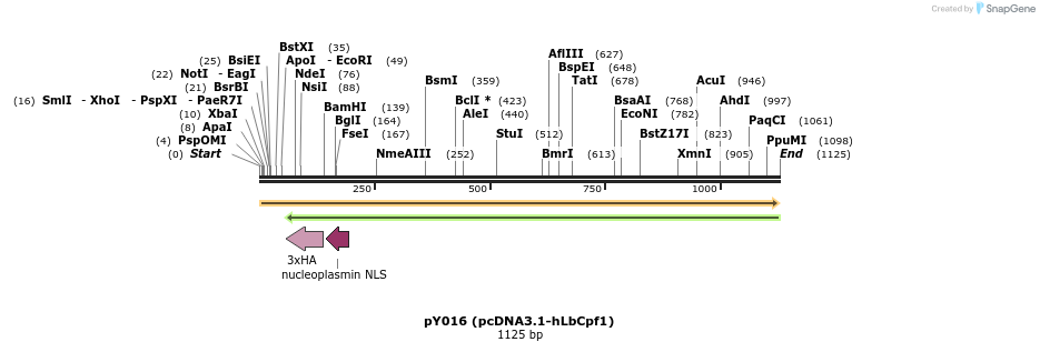 125374_map