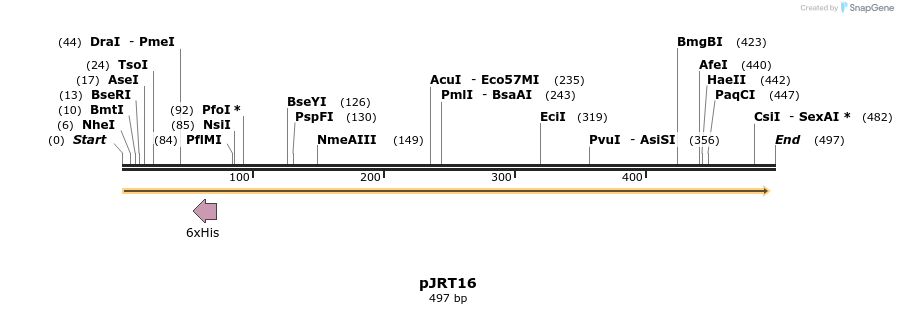 125376_map
