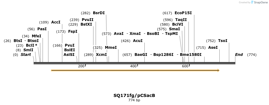 125377_map